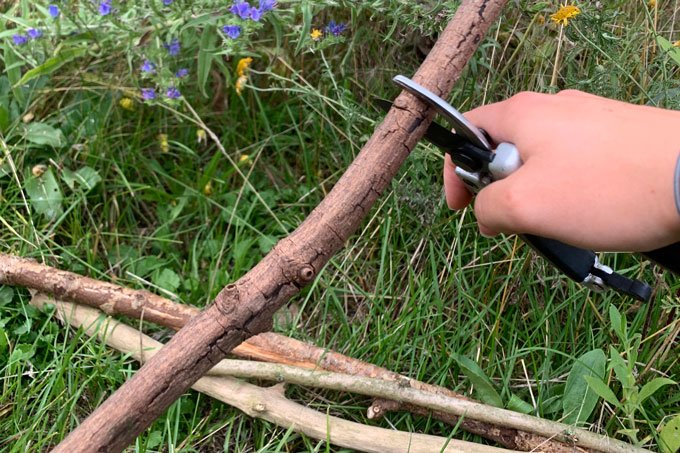rankhilfe aus ästen selber bauen