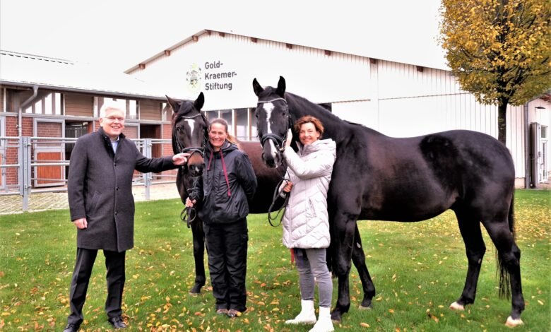 gold krämer stiftung