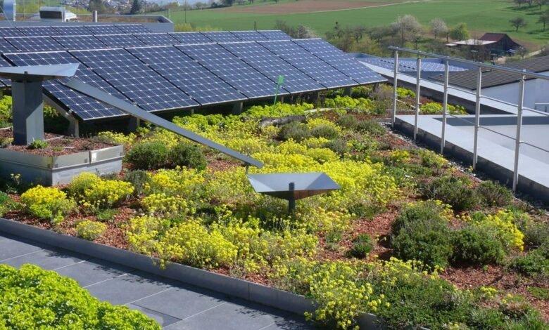 dachbegrünung gewicht pro m2